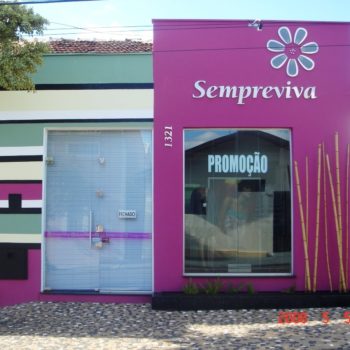 sempreviva